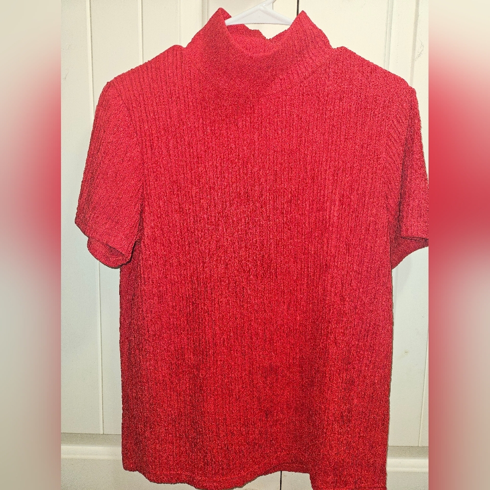 Red Turtleneck Top